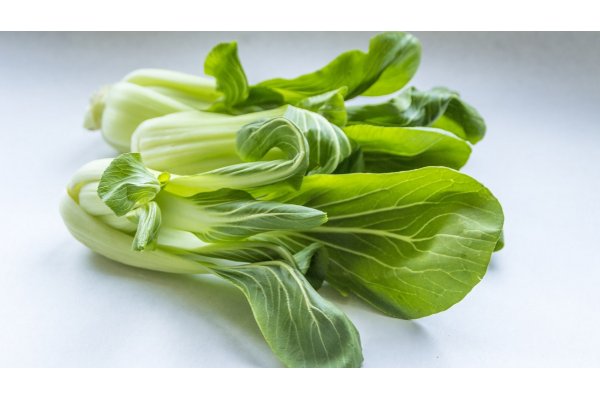 Dyrk Pak Choi