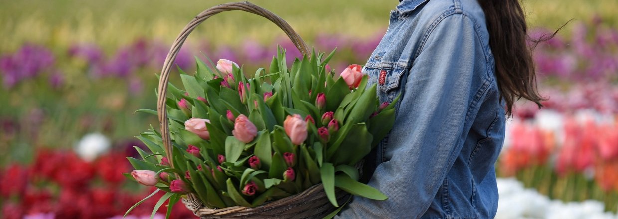 Forudbestil blomsterlg