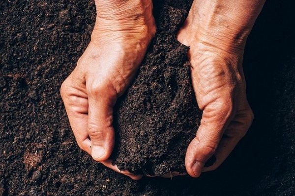 'No Dig' Princippet