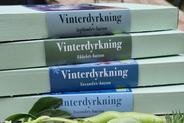 Vinterdyrkning start