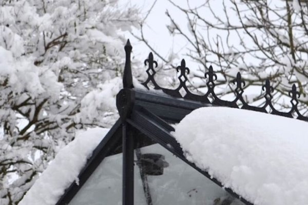 Vores Drivhus - Februar