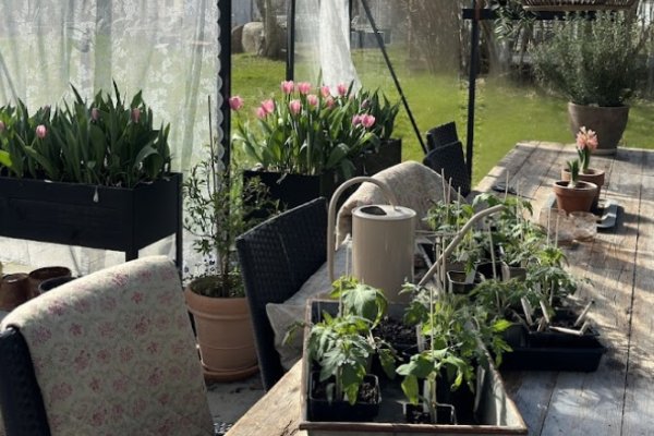 Vores drivhus -Marts