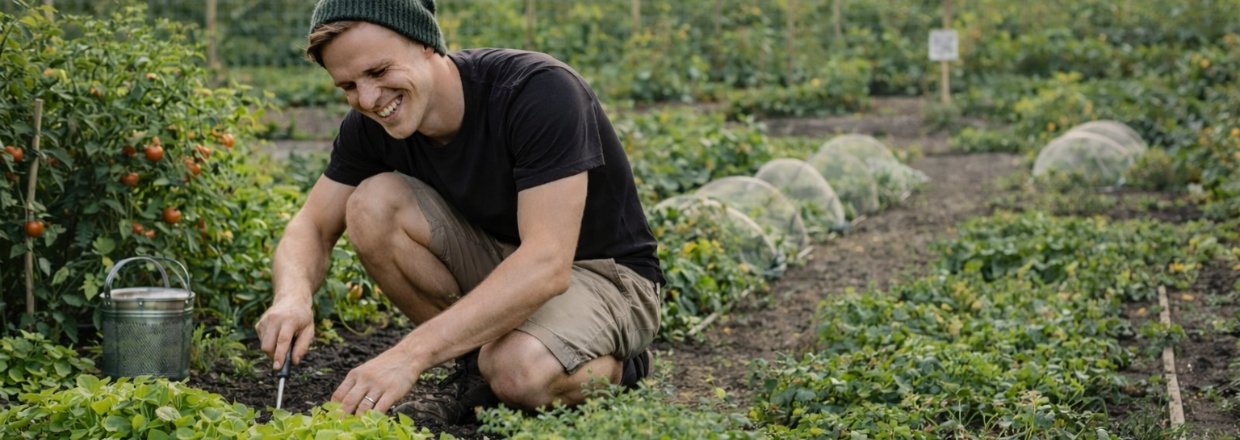 Jespers k�kkenhave � fra gr�spl�ne til gr�ntsagsparadis