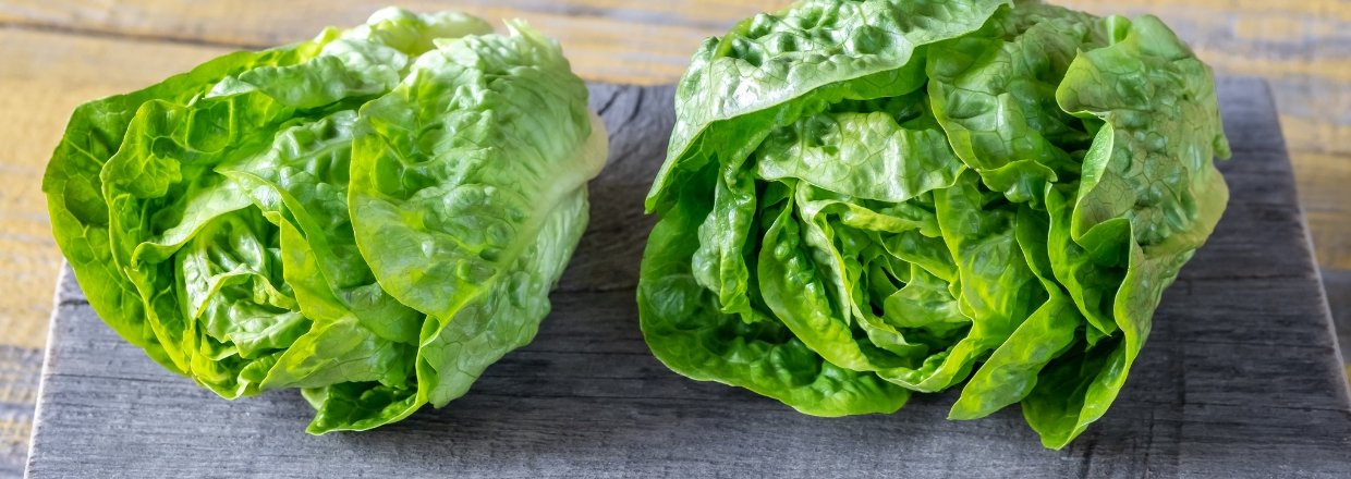 Selvvandingskasse med nyt liv