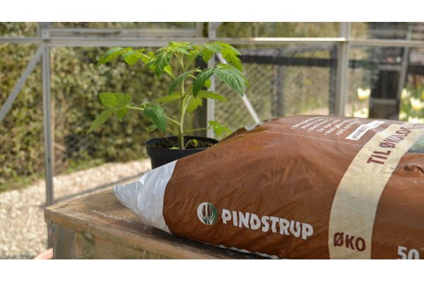 Pindstrup plantesæk