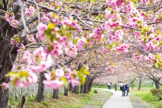 Vinterdyrkning lukker