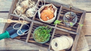 Nye temakasser online