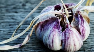 Hvidlg Forsalg Start