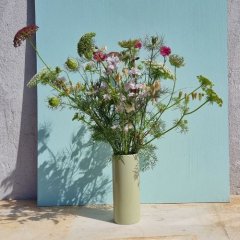 Efter�rss�ning sk�rehave - Start