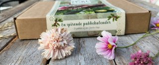 Pakkekalender online