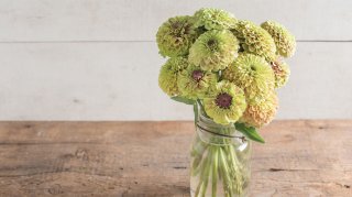 Flere engelske fr� online