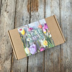 Blomsterl�g - Forsalg Start