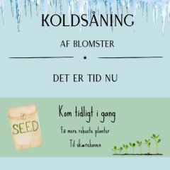 S� blomster i drivhuset