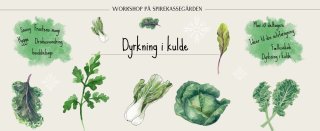 Workshop- Vinterdyrkning
