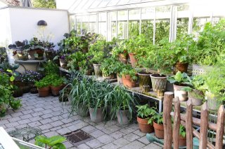 Bogudgivelse: Krukkek�kkenhaven