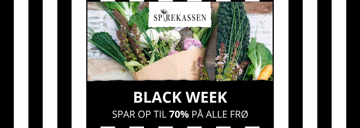 BLACK WEEK