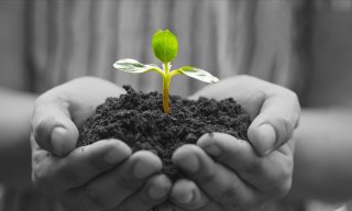 Flyttelukket hos Spirekassen