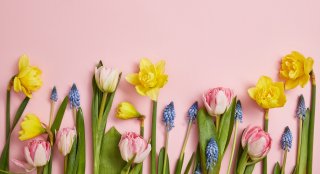 Vinterdyrkning lukker