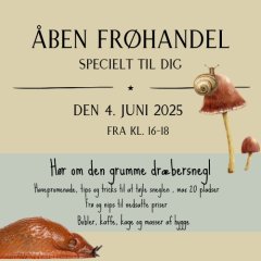 �ben fr�handel - DR�BERSNEGLEN