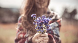 Efter�rsj�vnd�gn