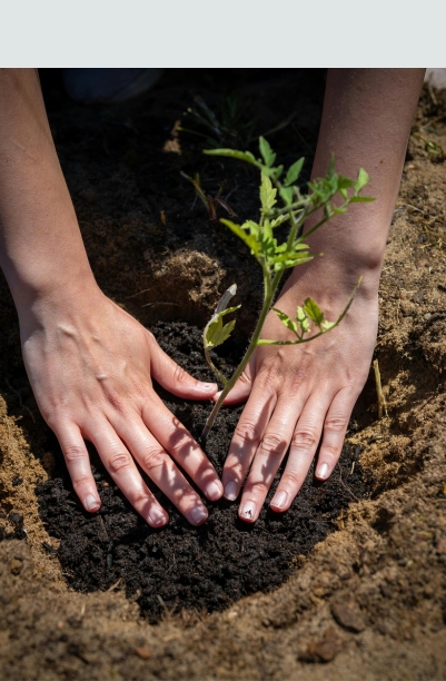 Hudpleje og Rengøring