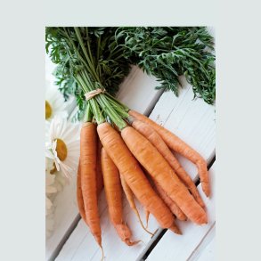 Gulerødder & Rodfrugter