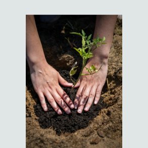 Hudpleje og Rengøring