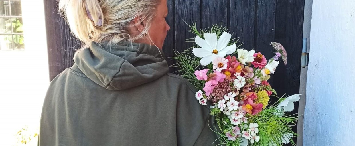 SKÆREHAVefrø - over 500 sorter