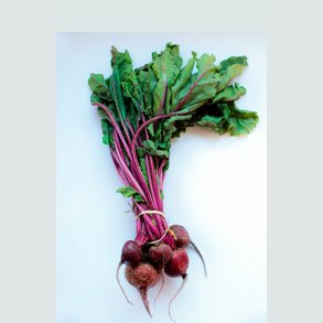 Rødbede & Bladbede