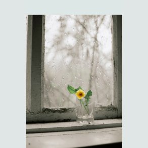 Vinterdyrking Vindueskarm