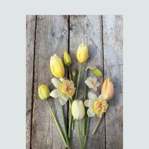 Blomsterl&oslash;g