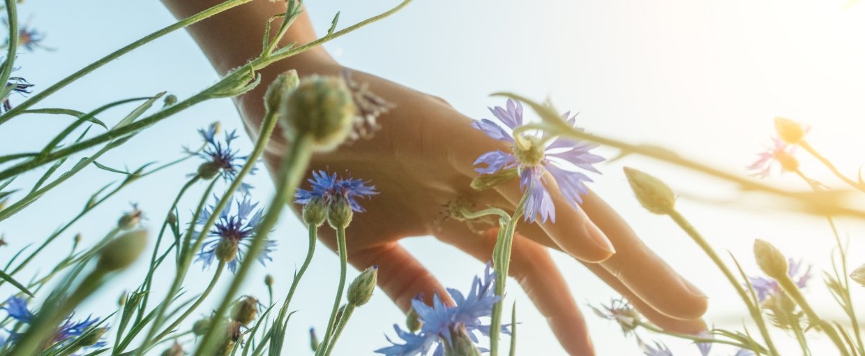 frønyheder 2026 - online nu