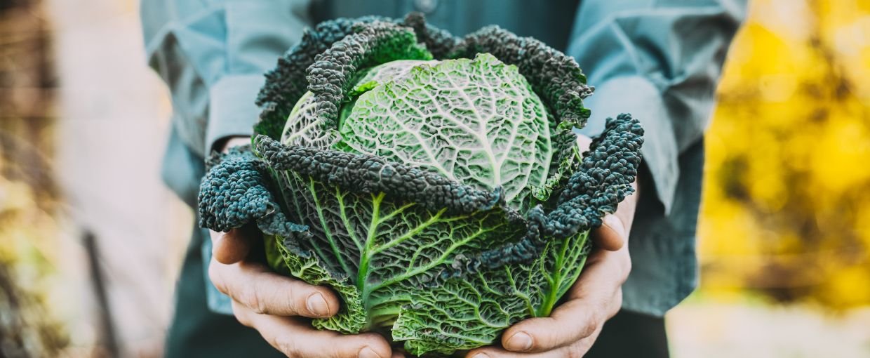 Start din vinterdyrkning