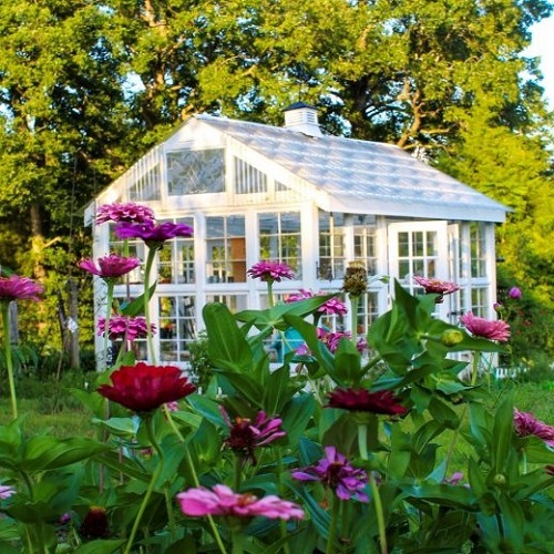 Drivhuset