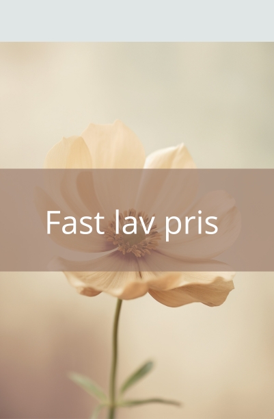Fast lav pris