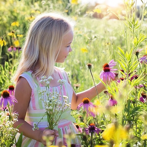 Økologiske Blomster