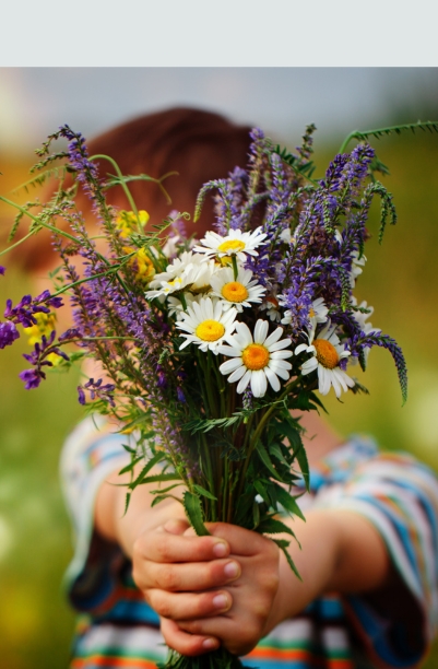 Sidste øjeblik - Temaksser