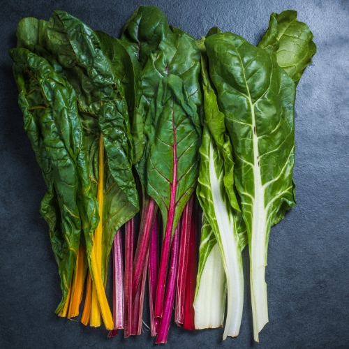 Bladbede 'Fireworks' - �kologisk