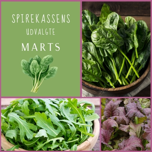 Spirekassens Udvalgte - MARTS