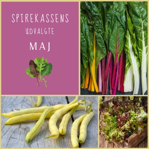 Spirekassens Udvalgte - MAJ