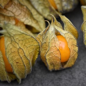 Ananaskirsebr - kologisk