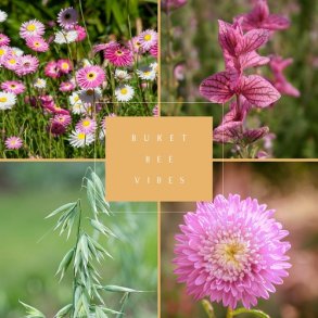 Frkasse Bee Vibes - kologisk