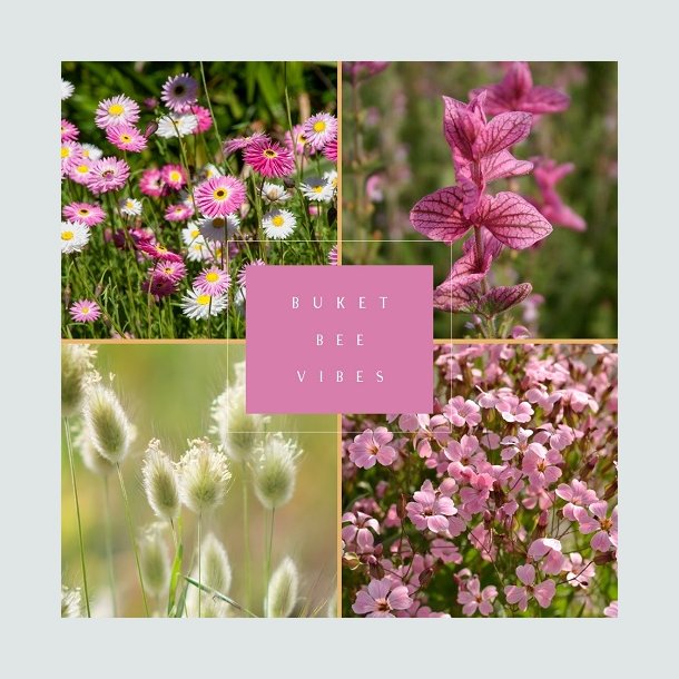 Frkasse Bee Vibes - kologisk