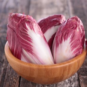 Cikorie 'Rossa Di Verona Precoce' - kologisk