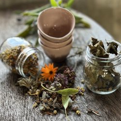 Frkasse Blandselv ko Urtete