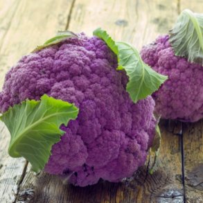 Blomkl  'Di Sicilia Violetto' - kologisk