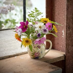 Blomstereng - kologisk