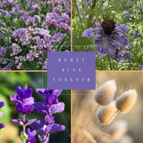 Fr�kasse Blue Forever