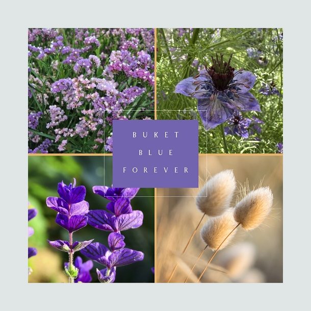 Fr�kasse Blue Forever