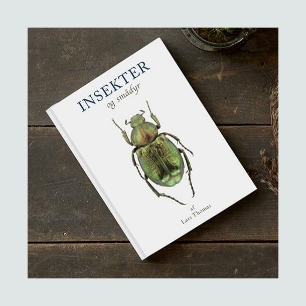Bog: Insekter - og andre smdyr